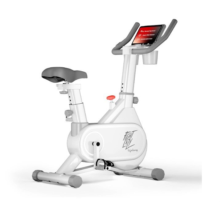 Lifelong Fit Pro Spin Fitness Bike